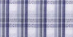 702.101 Grey Checks