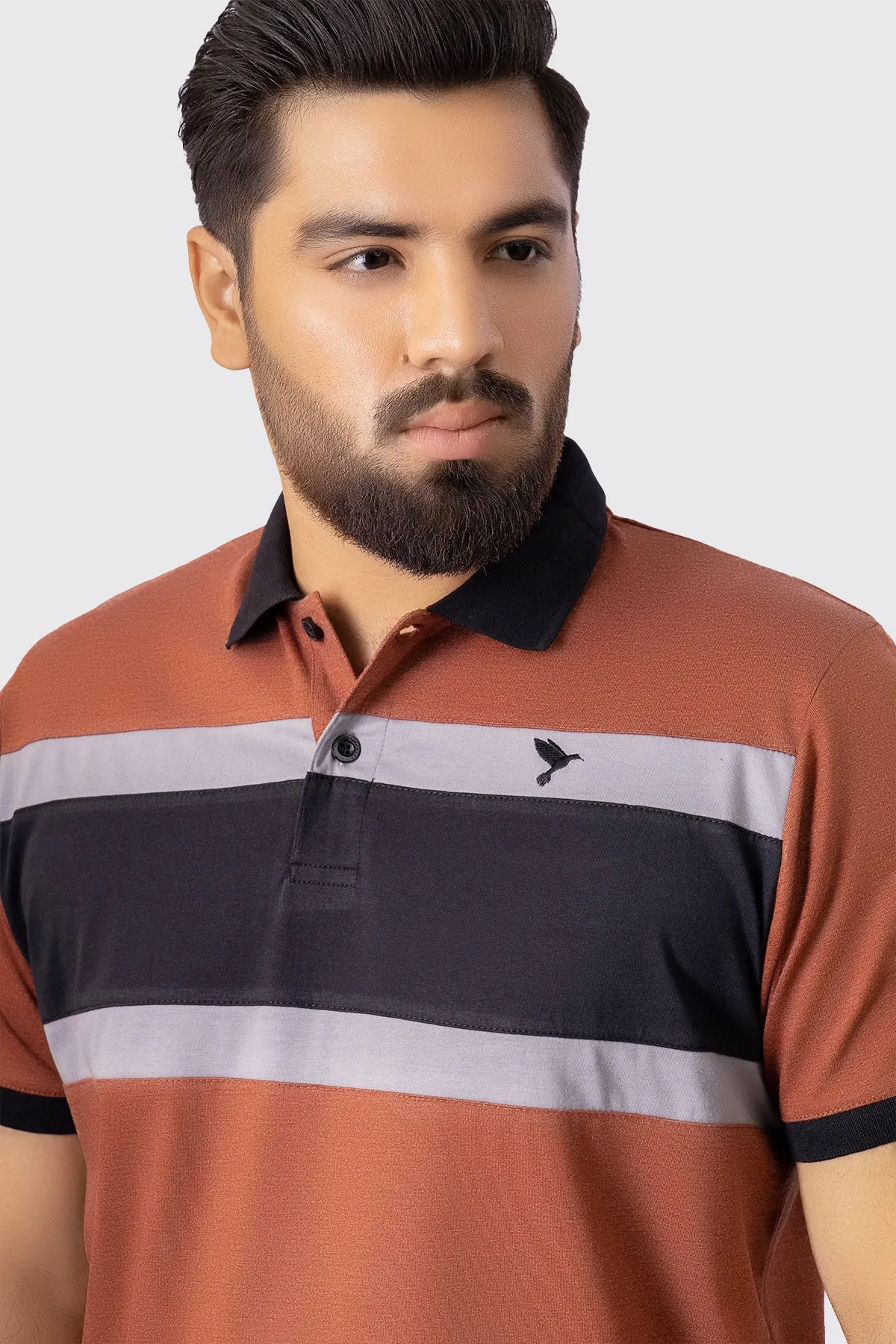 Brown Melange Tri-Color Polo Shirt (Plus Size) - A23 - MP0180P