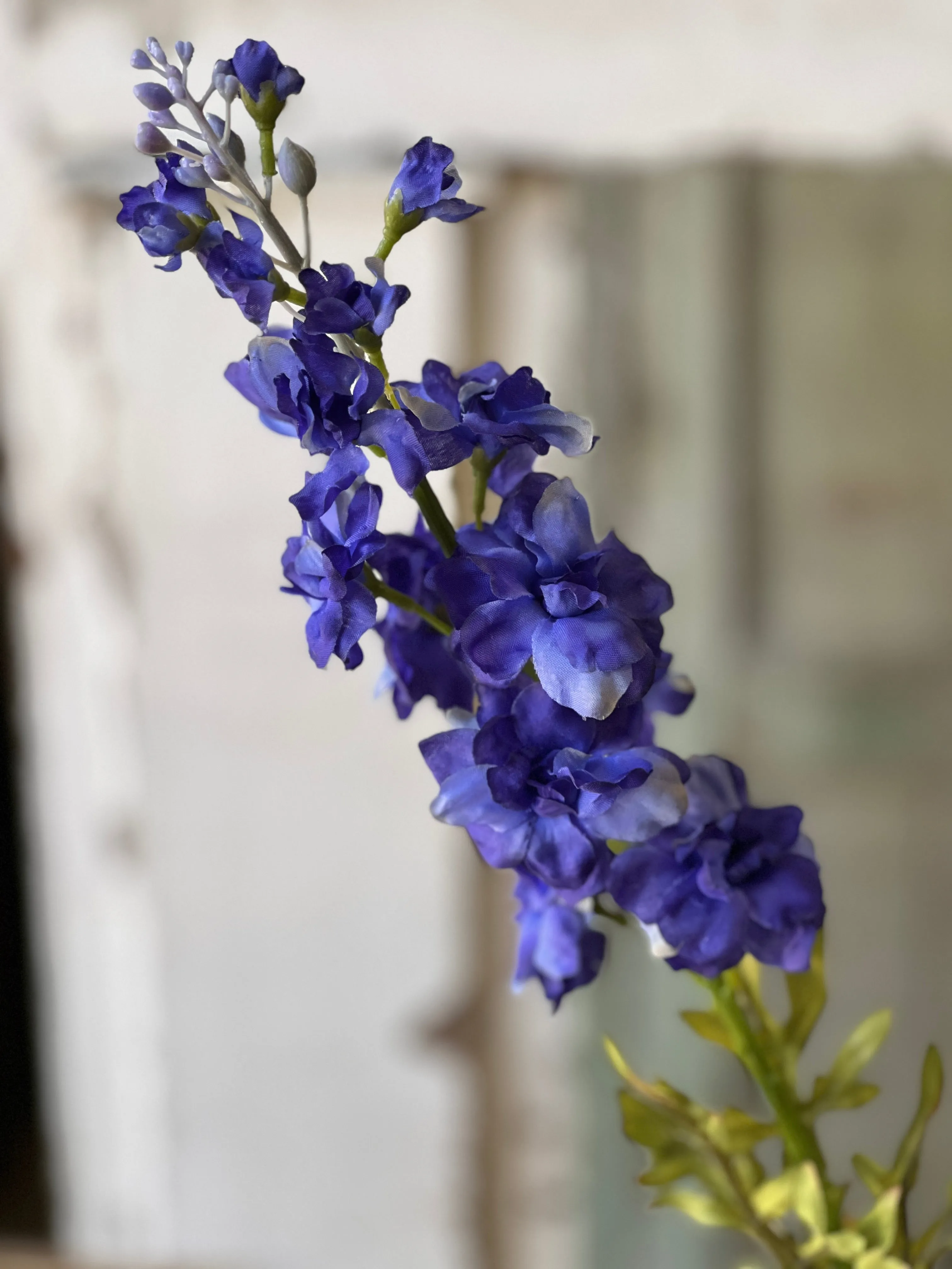 Larkspur Lane Stem | 23.5" | Blue | NOT CURRENTLY IN STOCK-New For Spring 2025!
