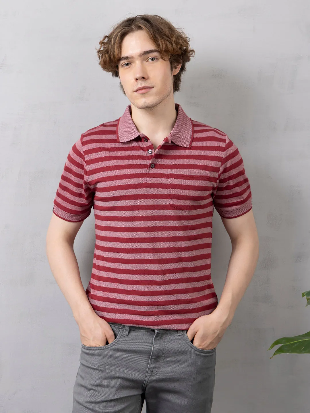 Maroon Striped Polo T-Shirt