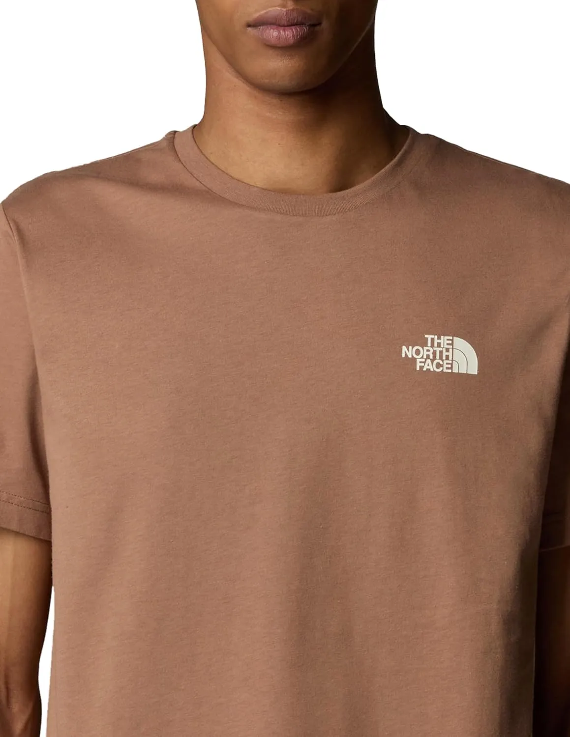 THE NORTH FACE Men's Biner 4 Graphic Tee
